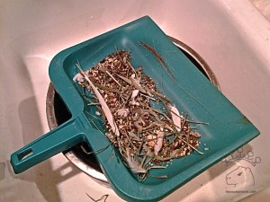 2015-05-03 22.18.09_w