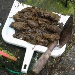 2015-05-14 11.12.21_w