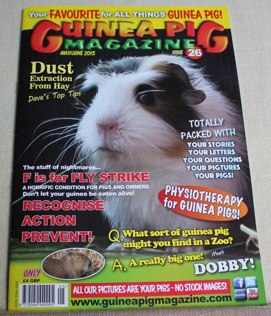 My Magazine Debut | Dobby the Capybara