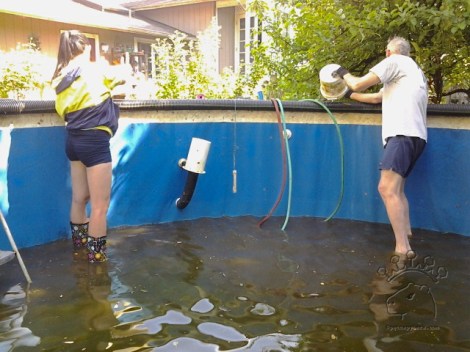 2015-05-21 15.55.14_w