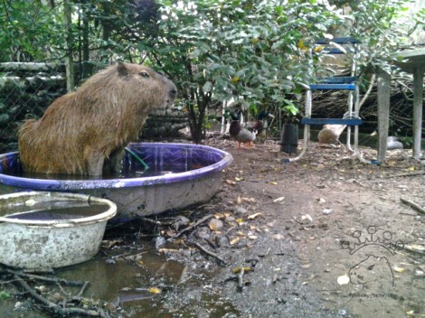 2015-05-31 19.38.15_w