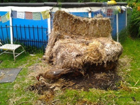 2014-06-27 19.01.21_w