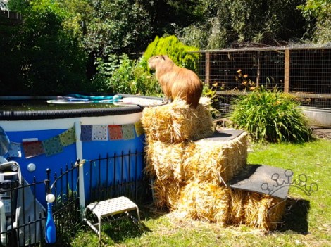 2014-06-30 14.53.25_w