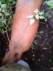 2015-05-22 15.35.16_w