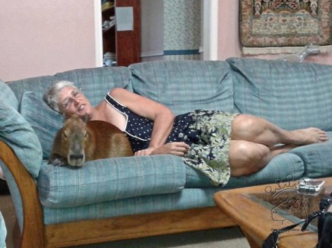 11694761_10152979197172401_2484201319485214644_w