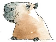 160905_r28653-584x1200-1472241291-version-2