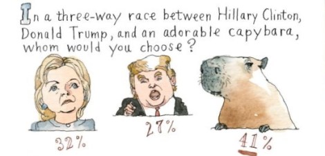 160905_r28653-584x1200-1472241291-version-4