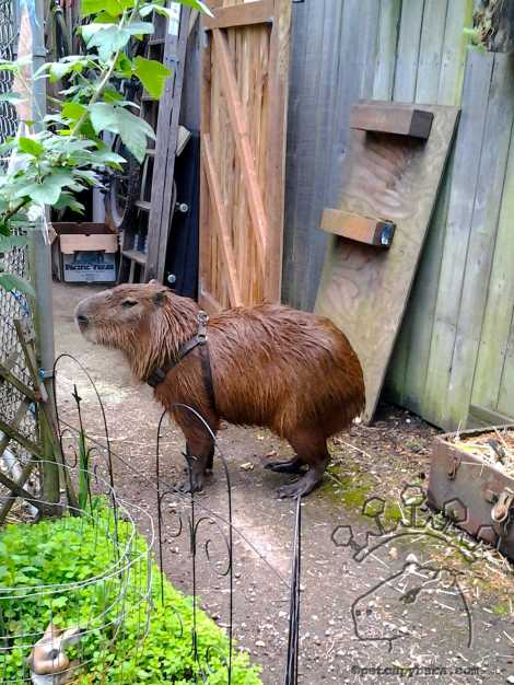 2012-06-19-16-58-53_w