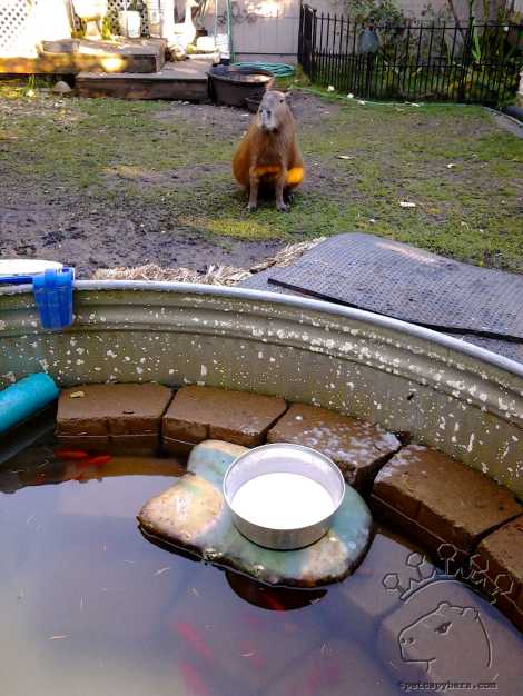 2012-10-29-16-17-06_w