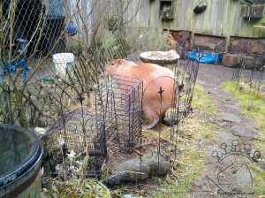 2014-01-22-09-58-41_w