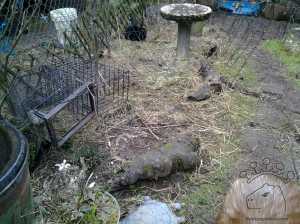 2014-01-28-16-18-43_w