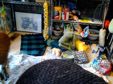 2014-02-24-09-42-41_w