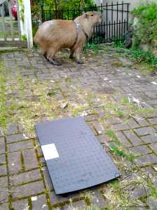 2014-03-11-18-35-34_w