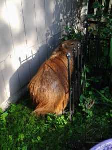 2015-06-06-18-56-31_w