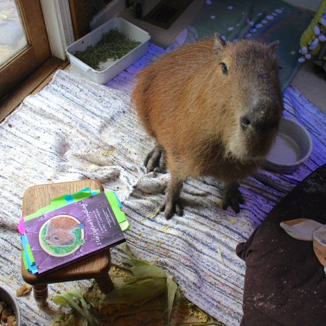 I'm disgusted, to tell you the truth.