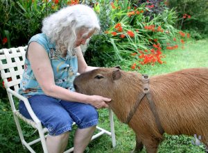 Stacy and Dobby Winnick
