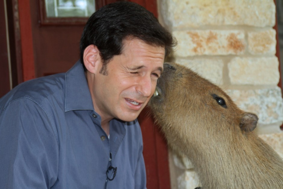 Caplin Rous The Caplin ROUS Foundation | Dobby the Capybara