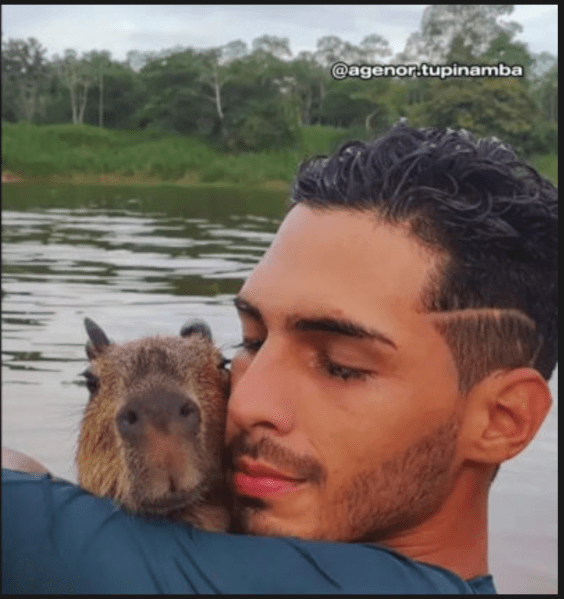 Can You Legally Own a Pet Capybara? - Baby Capybara